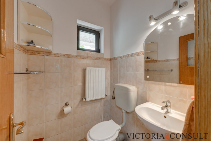 Sediu de firmă cu personalitate, parter vilă, grădină, terasă, 3 parcări | 1 Mai