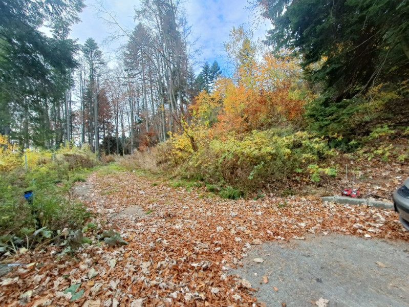  Furnica, Strada Tisei, view de exceptie, Sinaia!