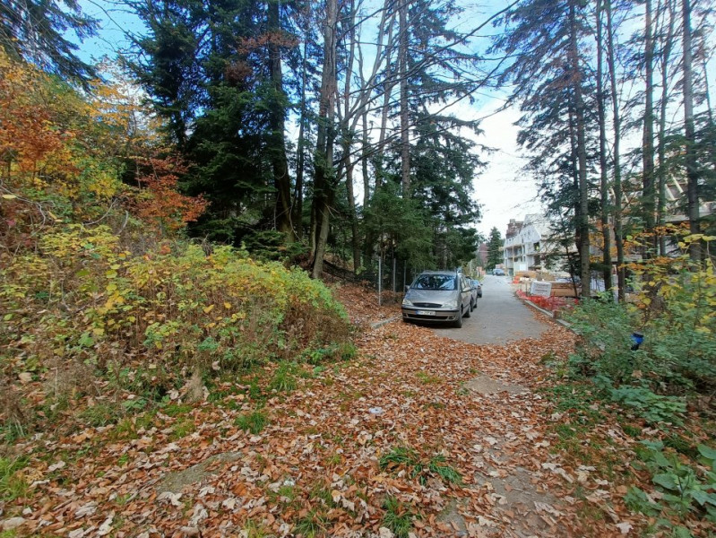  Furnica, Strada Tisei, view de exceptie, Sinaia!