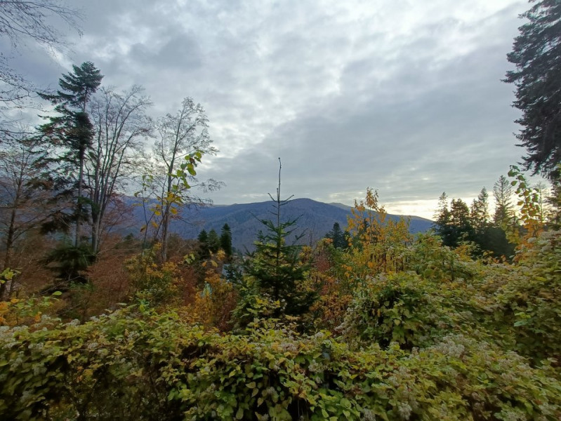  Furnica, Strada Tisei, view de exceptie, Sinaia!