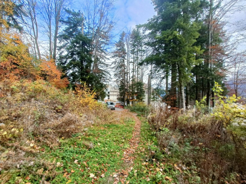  Furnica, Strada Tisei, view de exceptie, Sinaia!