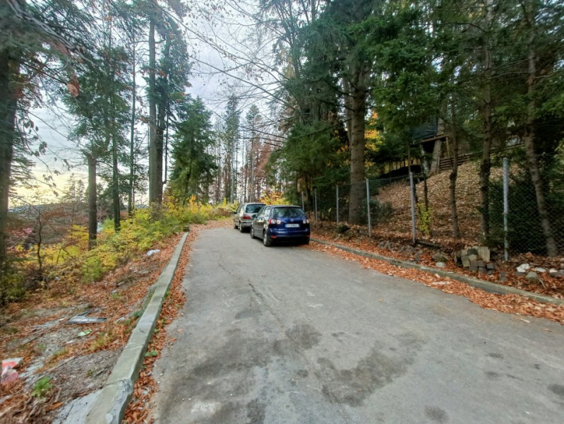  Furnica, Strada Tisei, view de exceptie, Sinaia!