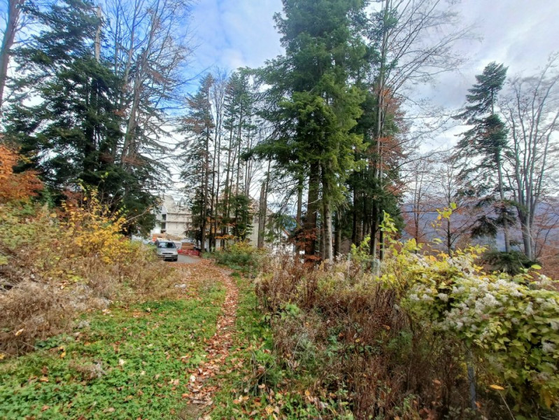  Furnica, Strada Tisei, view de exceptie, Sinaia!